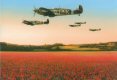  September 1940 and they came in their hundreds, the black crosses under their wings clearly visible to those on the ground who listened in silence as the menacing drone of a thousand engines filled the clear blue summer sky.  As Goering's Luftwa......