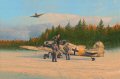  It is a record likely to stand for all time, Erich Hartmann's tally of 352 victories is more than any other pilot in history.  Posted to JG52 over Russia in August 1942 his new Kommodore, Dieter Hrabak, placed the novice pilot under the guidance......