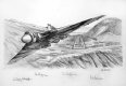  During the Falklands conflict in 1982, the tiny mid-Atlantic volcanic island of Ascension became the starting point for the <i>Black Buck</i> missions - a relay of tanker aircraft refueling two Vulcan bombers to attack Argentine positions and damage......